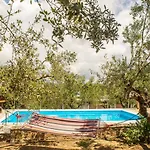 Hakuna Matata Holidays Agalia With Airco & Pool In Greek Olive Grove