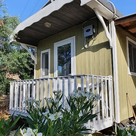 Hakuna Matata Holidays Agalia With Airco & Pool In Greek Olive Grove