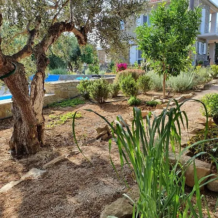 Hakuna Matata Holidays Agalia With Airco & Pool In Greek Olive Grove