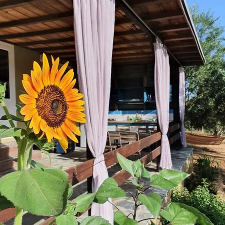 Hakuna Matata Holidays Agalia With Airco & Pool In Greek Olive Grove