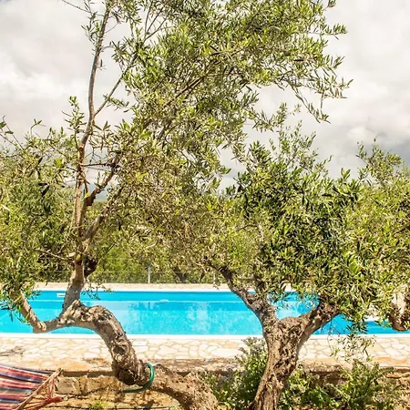 Lodge Hakuna Matata Holidays Agalia With Airco & Pool In Greek Olive Grove *