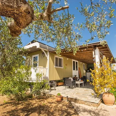 Hakuna Matata Holidays Agalia With Airco & Pool In Greek Olive Grove Lodge