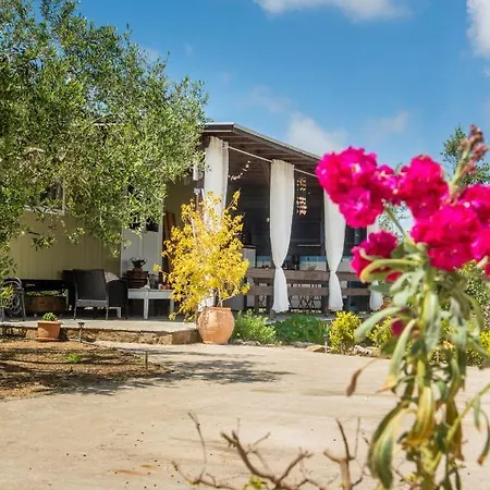 Hakuna Matata Holidays Agalia With Airco & Pool In Greek Olive Grove Methone