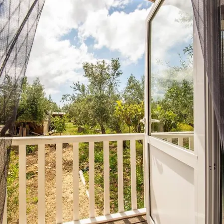 Hakuna Matata Holidays Agalia With Airco & Pool In Greek Olive Grove