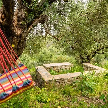 Lodge Hakuna Matata Holidays Agalia With Airco & Pool In Greek Olive Grove *