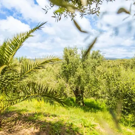 Lodge Hakuna Matata Holidays Agalia With Airco & Pool In Greek Olive Grove