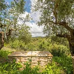 Hakuna Matata Holidays Agalia With Airco & Pool In Greek Olive Grove *