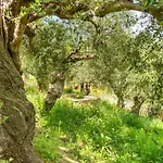 Hakuna Matata Holidays Agalia With Airco & Pool In Greek Olive Grove Деревянный коттедж