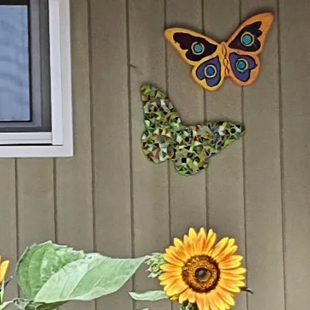 Hakuna Matata Holidays Agalia With Airco & Pool In Greek Olive Grove אכסניה *