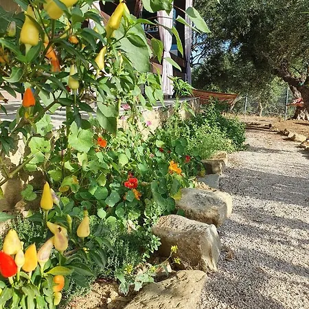Hakuna Matata Holidays Agalia With Airco & Pool In Greek Olive Grove 롯지