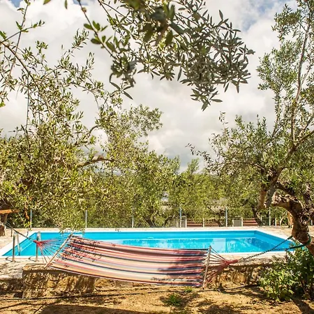 Hakuna Matata Holidays Agalia With Airco & Pool In Greek Olive Grove