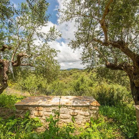 Hakuna Matata Holidays Agalia With Airco & Pool In Greek Olive Grove *