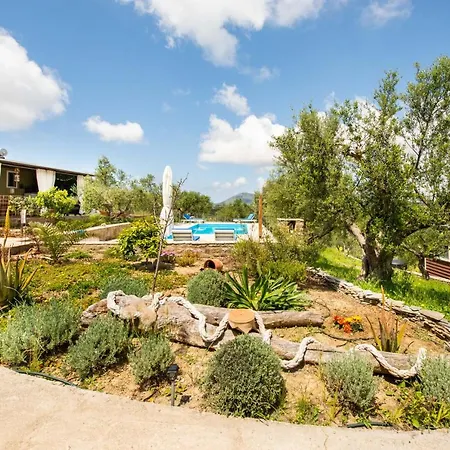 אכסניה Hakuna Matata Holidays Agalia With Airco & Pool In Greek Olive Grove