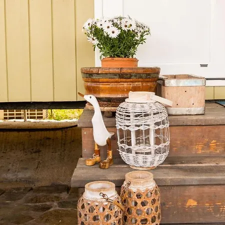 Hakuna Matata Holidays Agalia With Airco & Pool In Greek Olive Grove Lodge