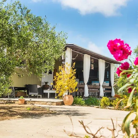 אכסניה Hakuna Matata Holidays Agalia With Airco & Pool In Greek Olive Grove מת'וני