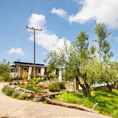 Hakuna Matata Holidays Agalia With Airco & Pool In Greek Olive Grove Methoni (Messenia)