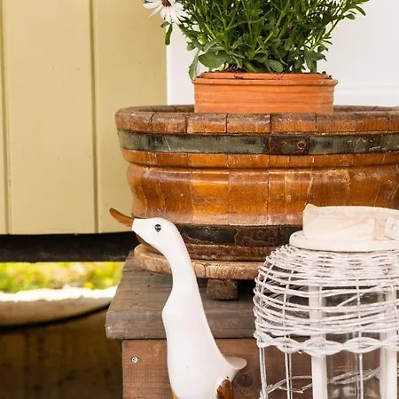 אכסניה Hakuna Matata Holidays Agalia With Airco & Pool In Greek Olive Grove מת'וני