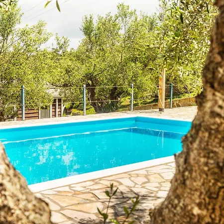 Hakuna Matata Holidays Agalia With Airco & Pool In Greek Olive Grove מת'וני