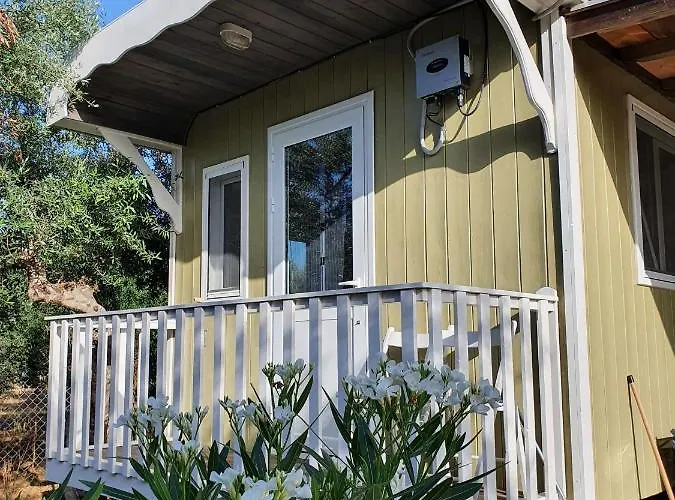 Hakuna Matata Holidays Agalia With Airco & Pool In Greek Olive Grove