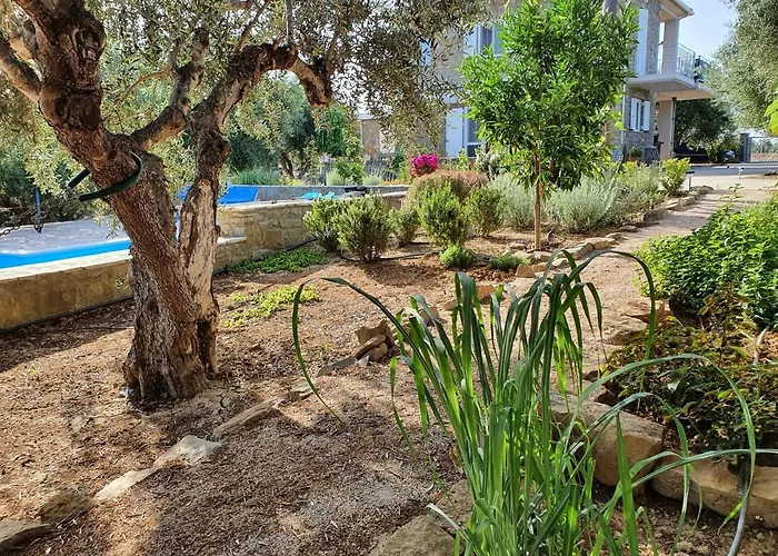 Hakuna Matata Holidays Agalia With Airco & Pool In Greek Olive Grove