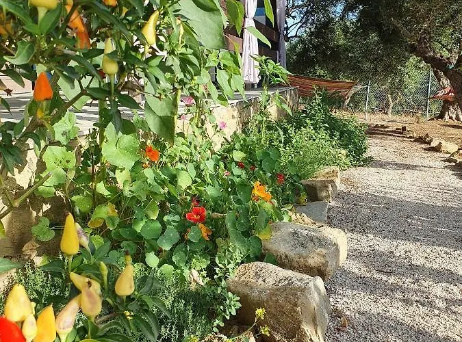 Hakuna Matata Holidays Agalia With Airco & Pool In Greek Olive Grove Alojamento de Turismo Selvagem