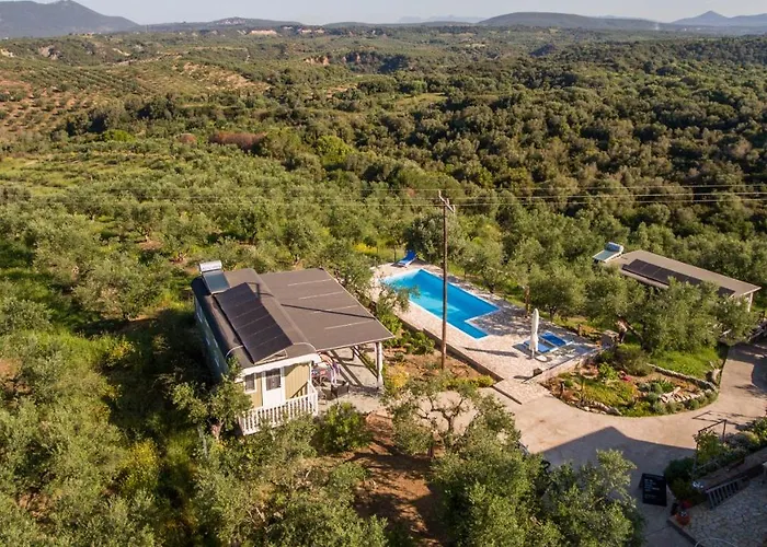 Hakuna Matata Holidays Agalia With Airco & Pool In Greek Olive Grove Jaktstuga