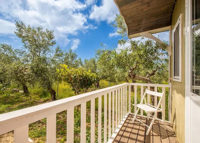 Hakuna Matata Holidays Agalia With Airco & Pool In Greek Olive Grove Jaktstuga