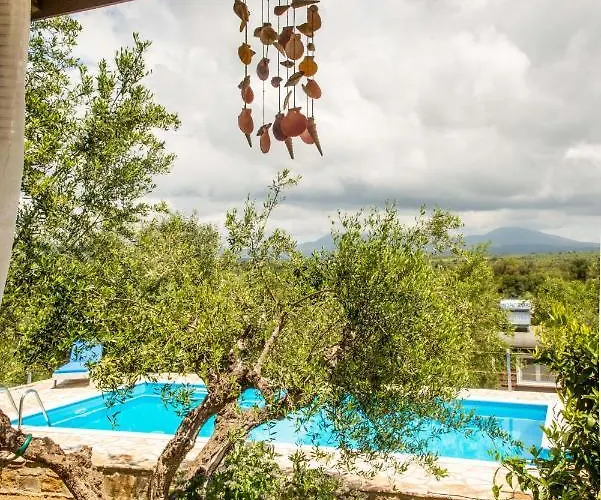 Hakuna Matata Holidays Agalia With Airco & Pool In Greek Olive Grove Alojamento de Turismo Selvagem