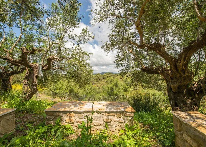 Hakuna Matata Holidays Agalia With Airco & Pool In Greek Olive Grove *