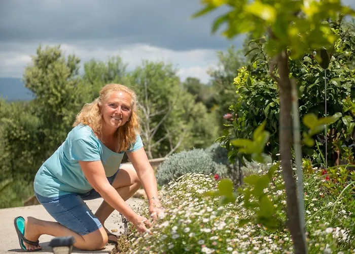 Alojamento de Turismo Selvagem Hakuna Matata Holidays Agalia With Airco & Pool In Greek Olive Grove Modon