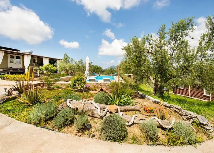 Jaktstuga Hakuna Matata Holidays Agalia With Airco & Pool In Greek Olive Grove