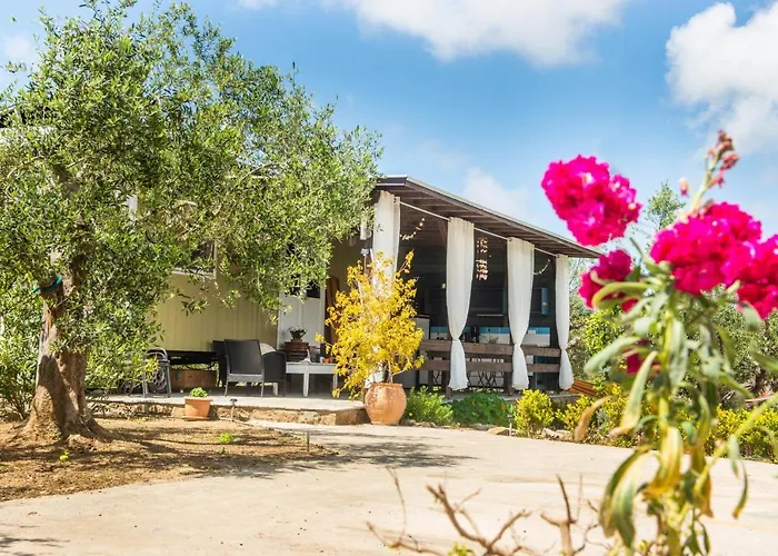 Alojamento de Turismo Selvagem Hakuna Matata Holidays Agalia With Airco & Pool In Greek Olive Grove Modon