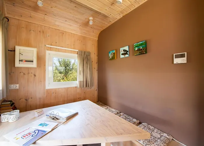 Hakuna Matata Holidays Agalia With Airco & Pool In Greek Olive Grove