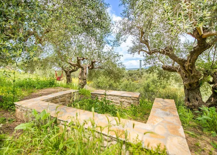 Alojamento de Turismo Selvagem Hakuna Matata Holidays Agalia With Airco & Pool In Greek Olive Grove