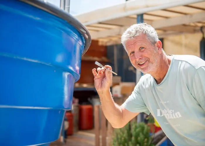 Hakuna Matata Holidays Agalia With Airco & Pool In Greek Olive Grove Modon