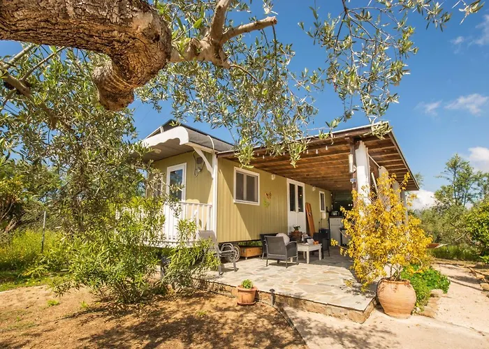 Hakuna Matata Holidays Agalia With Airco & Pool In Greek Olive Grove Alojamento de Turismo Selvagem