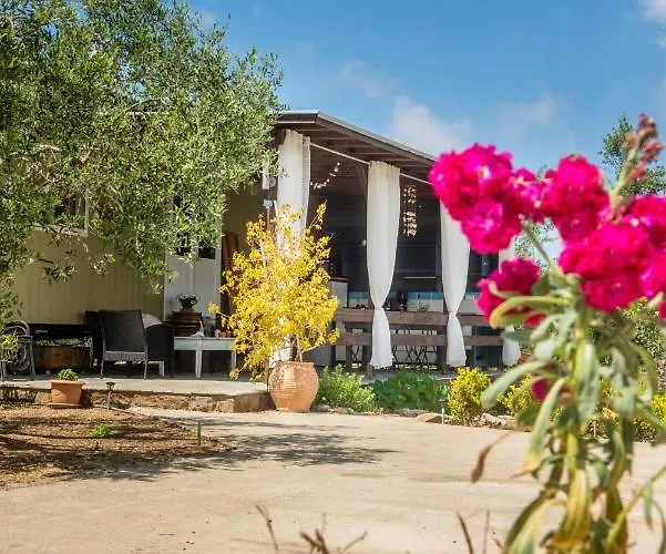 Hakuna Matata Holidays Agalia With Airco & Pool In Greek Olive Grove Methone