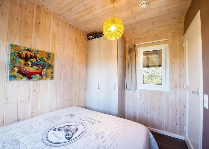 Alojamento de Turismo Selvagem Hakuna Matata Holidays Agalia With Airco & Pool In Greek Olive Grove Modon