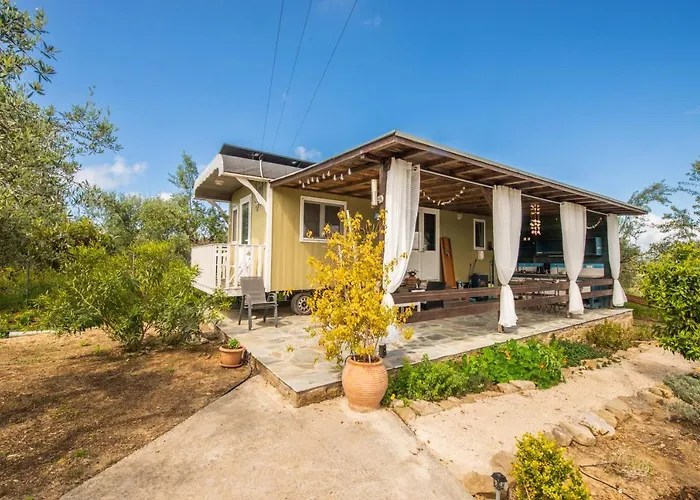 Hakuna Matata Holidays Agalia With Airco & Pool In Greek Olive Grove *