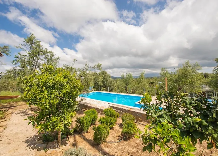 Hakuna Matata Holidays Agalia With Airco & Pool In Greek Olive Grove Jaktstuga