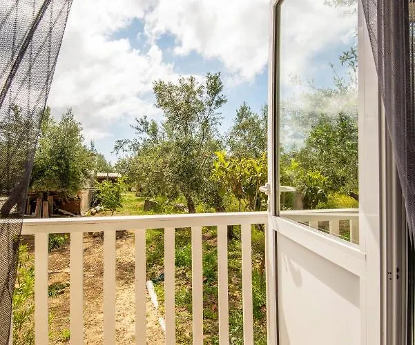 Hakuna Matata Holidays Agalia With Airco & Pool In Greek Olive Grove