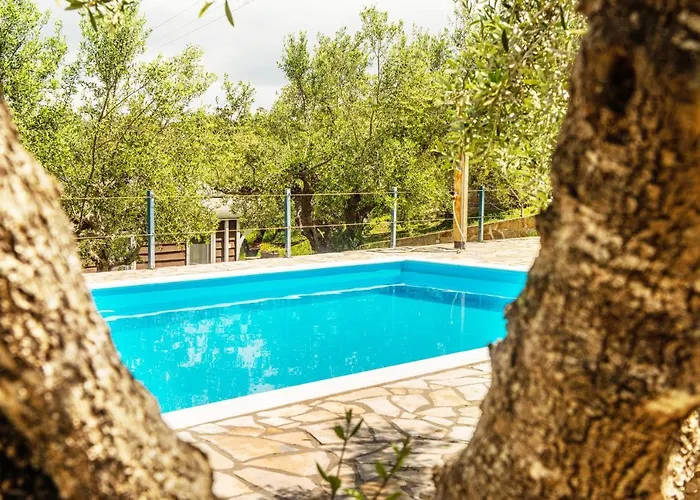 Hakuna Matata Holidays Agalia With Airco & Pool In Greek Olive Grove Methone