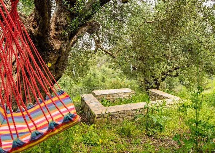 Jaktstuga Hakuna Matata Holidays Agalia With Airco & Pool In Greek Olive Grove *